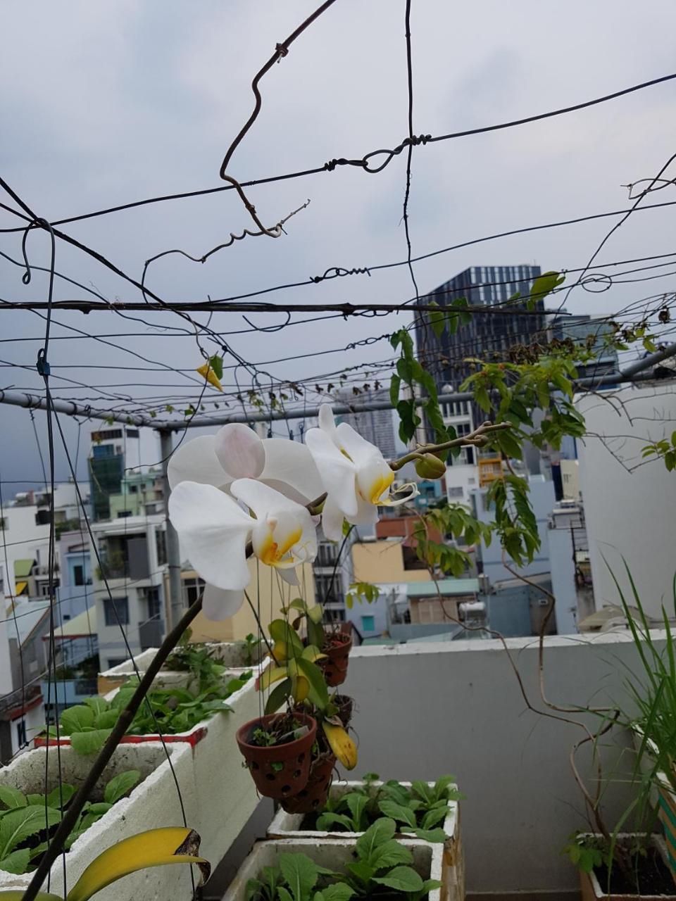 Urban House Saigon 2 Daire Ho Şi Min Dış mekan fotoğraf