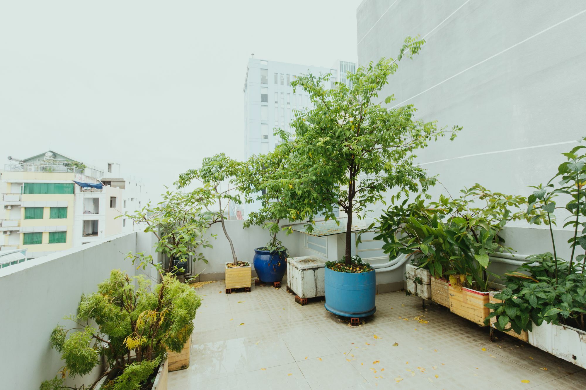 Urban House Saigon 2 Daire Ho Şi Min Dış mekan fotoğraf